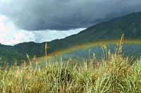 Rainbow in the Valley