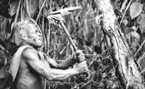 man with stone ax cutting secon-growth tree