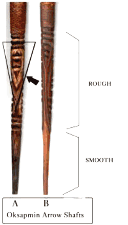 Two finely carved arrows of Okspapmin, Papua New Guinea -- illustrating the aesthetics that unites all minds and shows they are equal